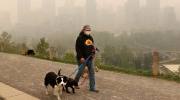 معلومة سريعة كيفية قراءة مؤشر جودة الهواء على هاتفك بدقة